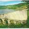 (A) carte postala(ilustrata)-BICAZ-Barajul hidrocentralei