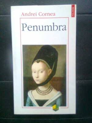 Andrei Cornea - Penumbra (Editura Polirom, 1998) foto