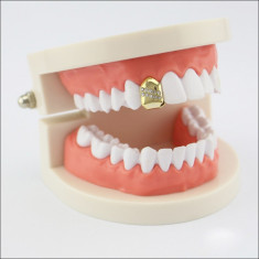 One piece Grill - Teeth grillz foto