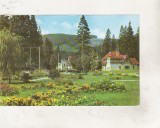 bnk cp Borsec - Vedere - circulata
