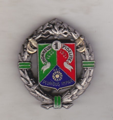 bnk ins Franta - Insigna militara - Legiunea straina - 1er REC foto