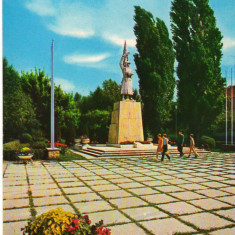 CPI (B9375) CARTE POSTALA - SATU MARE. MONUMENTUL OSTASULUI ROMAN