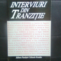 C. Stanescu - Interviuri din tranzitie (Edit. Fundatiei Culturale Romane, 1996)