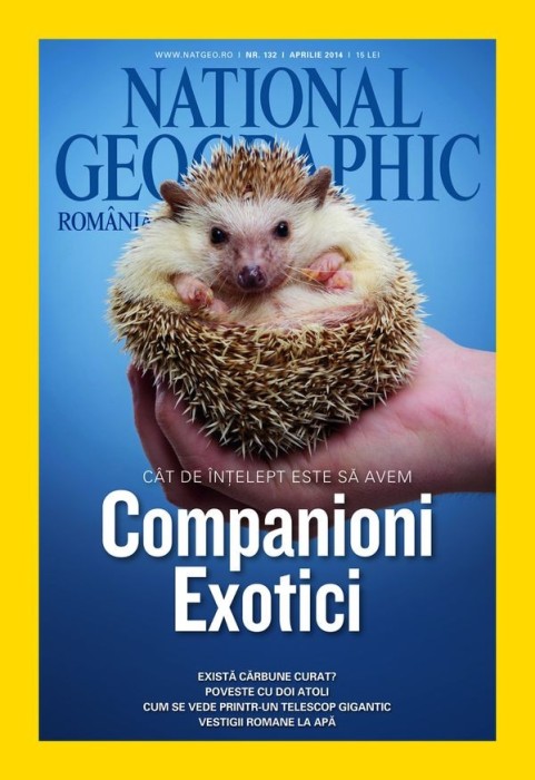 national geographic romania nr. 4,5,11 2013 7 lei/exemplar national geographic romania nr. 4,5,11 2013 7 lei/exemplar