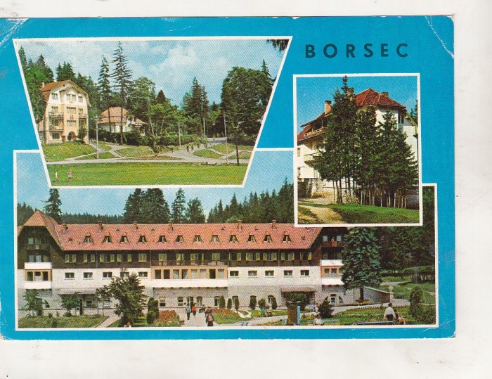 bnk cp Borsec - Vedere - circulata - marca fixa
