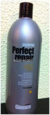 Sampon Profesional Par Deteriorat Glossco Perfect Repair 1000ml foto