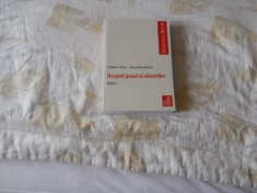 Dreptul penal al afacerilor- Costica Voicu,Alexandru Boroi, 2006, Carte Noua