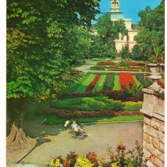 CPI (B9373) CARTE POSTALA - ARAD. VEDERE DIN PARC