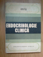 h0b Endocrinologie Clinica - Stefan Milcu foto