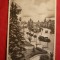 Ilustrata Targu Mures - Vedere , circulat 1956