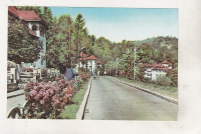 bnk cp Olanesti - Vedere - necirculata foto