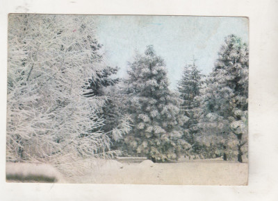 bnk cp Iasi - Gradina botanica - aspect de iarna - necirculata foto