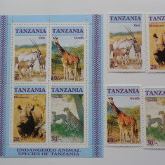 Bloc serie timbre fauna animale nestampilate Tanzania timbre filatelice postale