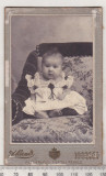 Bnk foto Portret de copil - Foto A Brand Sinaia-Ploiesci, Alb-Negru, Romania 1900 - 1950, Portrete