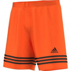 Short barbati adidas Entrada 14 f50634 foto