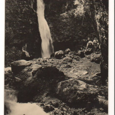 CPI (B9435) CARTE POSTALA - POIANA TAPILUI. CASCADA URLATOAREA, RPR