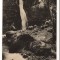 CPI (B9435) CARTE POSTALA - POIANA TAPILUI. CASCADA URLATOAREA, RPR