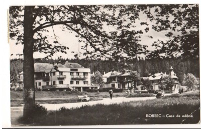 CPI (B9404) CARTE POSTALA - BORSEC. CASE DE ODIHNA, RPR foto