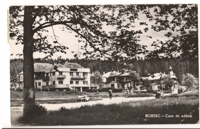 CPI (B9404) CARTE POSTALA - BORSEC. CASE DE ODIHNA, RPR