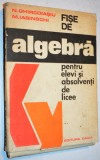 FISE DE ALGEBRA - Pentru elevi si absolventi de licee (1976), Clasa 10, Matematica