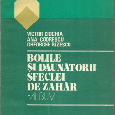 AS - Victor Ciochia - BOLILE SI DAUNATORII SFECLEI DE ZAHAR