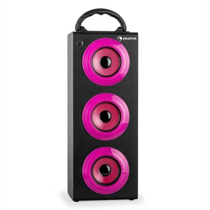 Auna Beachboy XXL Bluetooth USB SD AUX-difuzor roz FM foto mare Auna Beachboy XXL Bluetooth USB SD AUX-difuzor roz FM foto mare