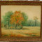 FLORIN PETRECHESCU Tablou Peisaj de toamna pictura in ulei pe panza 48x58 cm