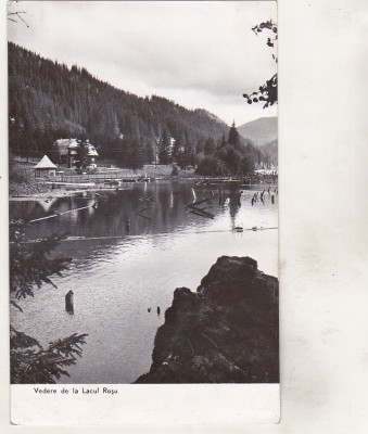 bnk cp Lacul Rosu - Vedere - circulata foto