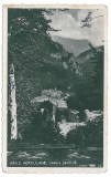 1847 - BAILE HERCULANE, Caras-Severin - old PC, CENSOR real PHOTO - used - 1944