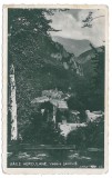 1847 - BAILE HERCULANE, Caras-Severin - old PC, CENSOR real PHOTO - used - 1944, Circulata, Fotografie