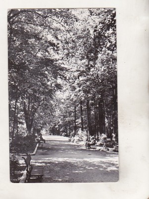 bnk cp Pucioasa - Vedere din parc - circulata foto