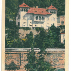 1674 - BAILE HERCULANE, Caras-Severin - old postcard - unused - 1929