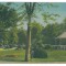 418 - TIMISOARA, Park - old postcard - unused - 1925