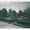 2139 - BUZIAS, Timis, park - old postcard, real PHOTO - used - 1937