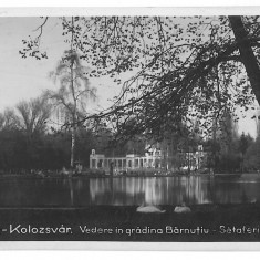 2082 - CLUJ, Garden, park - old postcard, real PHOTO - used - 1936