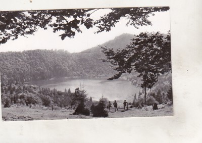 bnk cp Tusnad - Lacul Sf Ana - circulata foto