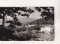 Foto  - 1