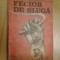 k2 Fecior De Sluga - N. D. Cocea