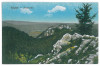 3346 - RASNOV, Brasov, Cetatea - old postcard - unused, Necirculata, Printata