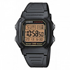 Ceas original Casio Sport W-800HG-9AVES foto