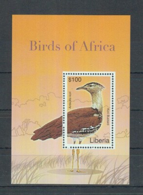 LIBERIA 2007 PASARI BUSTARD foto