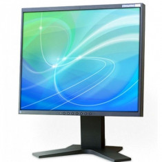 Monitor 19 inch LCD EIZO FlexScan S1961, Black, Panou Grad B foto