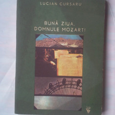 (C357) LUCIAN CURSARU - BUNA ZIUA, DOMNULE MOZART!