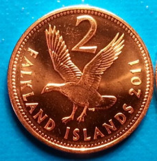 Falkland Islands 2 pence 2011 UNC pasare foto