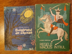 Bulgarasul de zapada + Regele Macius Intaiul / C37G foto