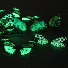 Fluture fosforescent magnet decorativ foto