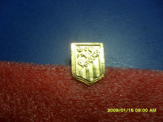 Insigna FC Dinamo foto