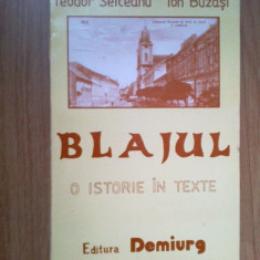 n7 Blajul O Istorie In Texte - Teodor Seiceanu , Ion Buzasi