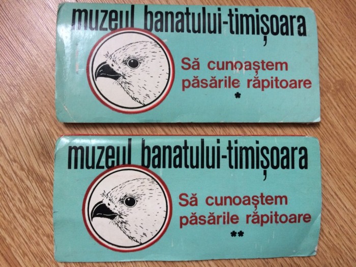 muzeul banatului timisoara sa cunoastem pasarile rapitoare set 12 diapozitive