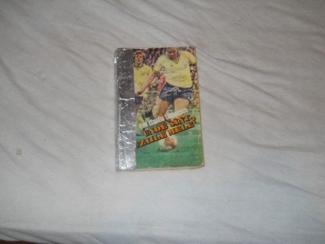 Dan Claudiu Tanasescu- Unde sunt iluziile mele?1985, Ed. Sport Turism
